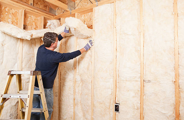 Best Spray Foam Insulation in Farmer City, IL